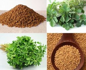 Ang mga liso sa fenugreek ug mga sprouts gigamit alang sa pagpadako sa dughan